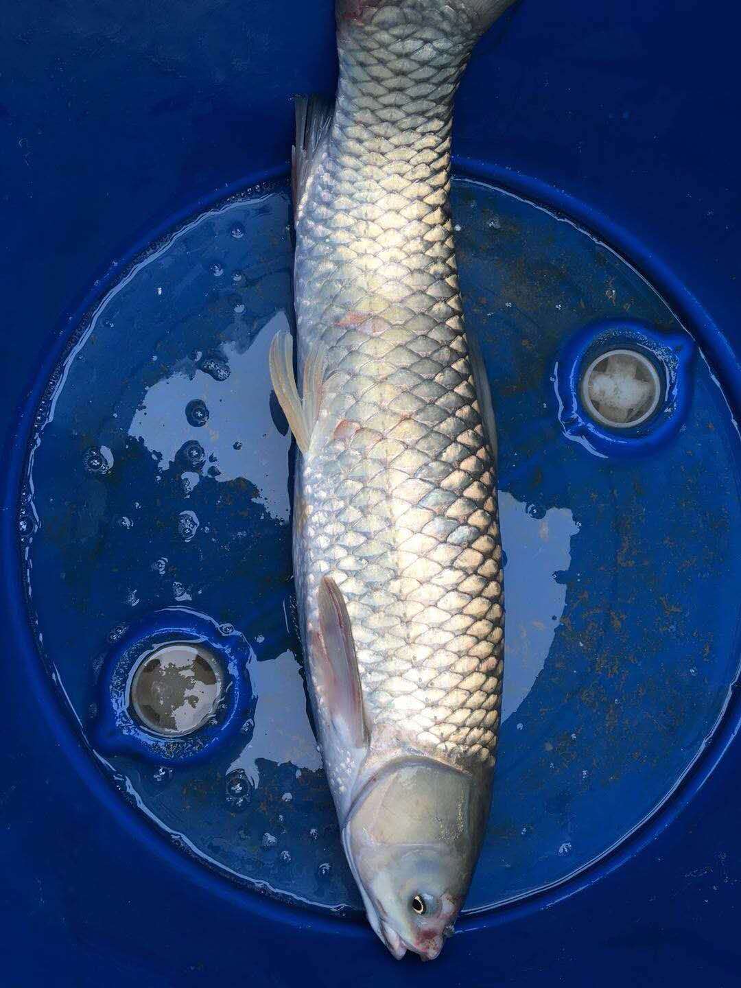 ؑcЙC(j)~(y).Ї(gu)|ؑcB(ti)~(y).Ї(gu)|ؑcҰ~(y),l(f)