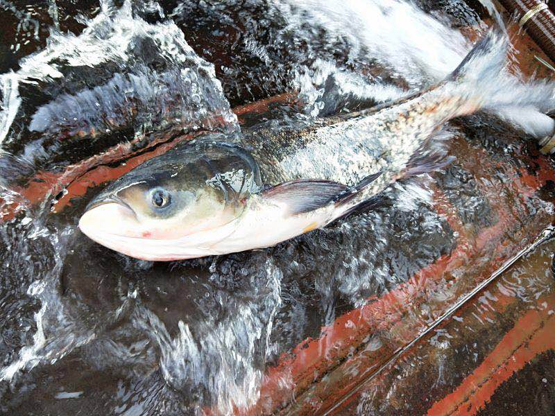 ؑcЙC(j)~(y).Ї(gu)|ؑcB(ti)~(y).Ї(gu)|ؑcҰ~(y),l(f)