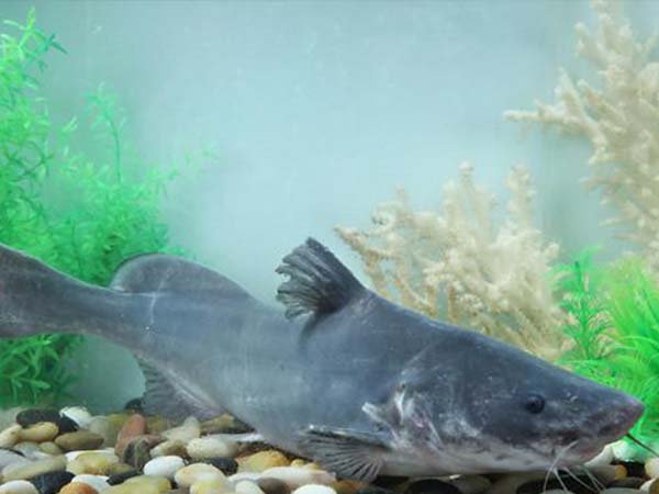 ͬĵطt~(y)вͬĽзϺQtĴF(tun)F݄t֮顰(x)~(y)L(zhng)dwL(zhng)FΣǰ@ͻλΣʺС4(du)(x)Сo(w)[Ӳ̺X֬ʺβֲ档wɫۼtԎɫɫҺɫ