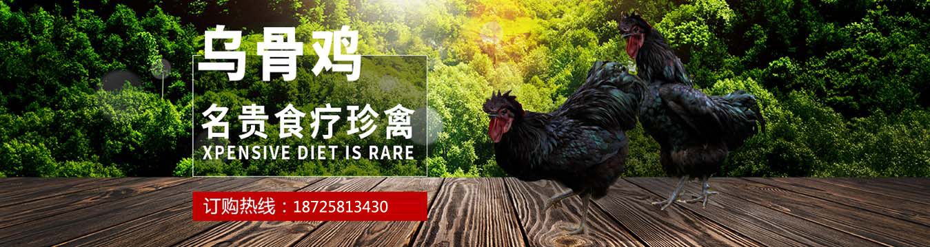 重慶烏骨土雞 重慶烏骨土雞