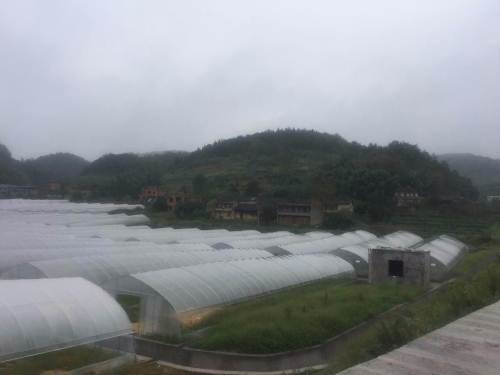 ؑcаυ^(q)(zhn)߲˻\(zhn)Ժ