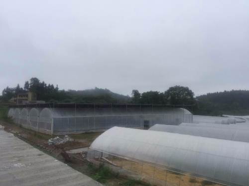 ؑcаυ^(q)(zhn)߲˻\(zhn)Ժ