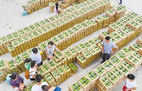 2020ؑc؛l(f)Ј(chng)Rc(din)ͨ