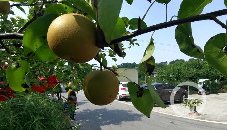 ؑcׂ弉r(nng)a(chn)Ʒ|(zh)ȫO(jin)վ 㲻ܞr(nng)a(chn)ƷkC