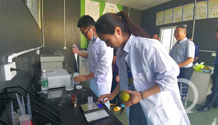 ؑcׂ弉r(nng)a(chn)Ʒ|(zh)ȫO(jin)վ 㲻ܞr(nng)a(chn)ƷkC