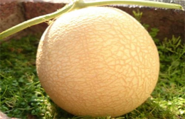 W(wng)yϺ͹ܹϵą^(q)e