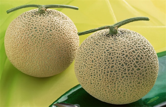 W(wng)yϺ͹ܹϵą^(q)e