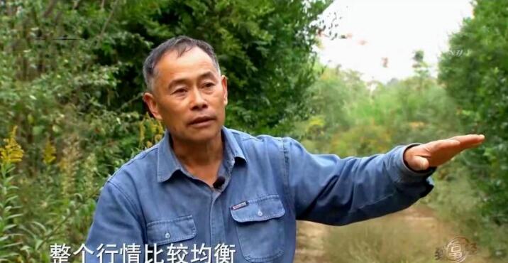 ˮݵķNط߀ٍܶX