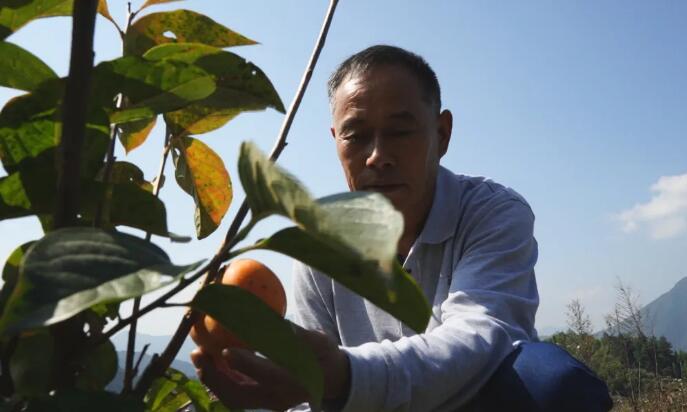 ˮݵķNط߀ٍܶX