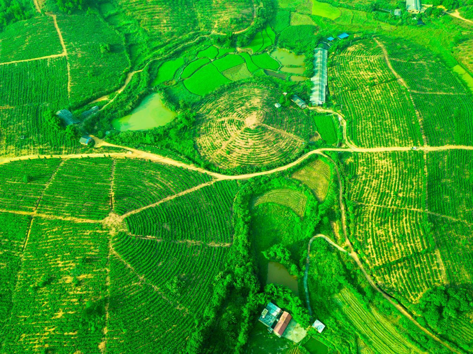 重慶鄉(xiāng)村振興 重慶鄉(xiāng)村振興