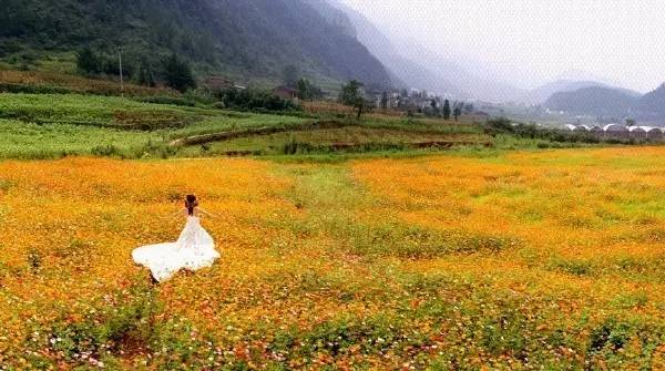 涪陵大木花谷 涪陵大木花谷