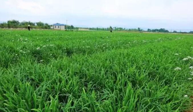 ʲô²˕ԽԽô׌²˴