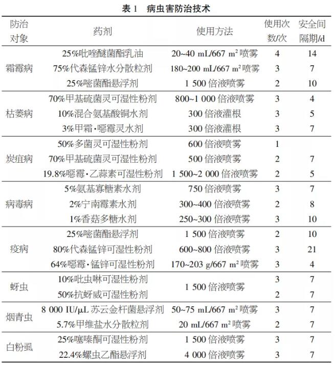 ׷NЧÿ2300Ԫ