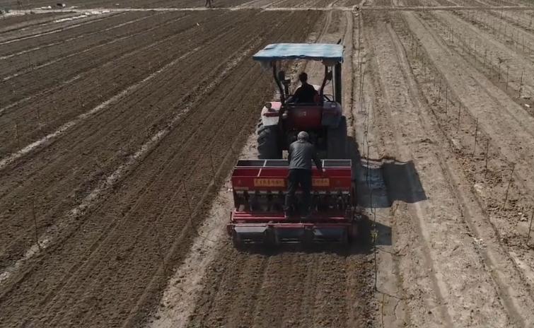 N(hu)Ӱ푳ʆ᣿