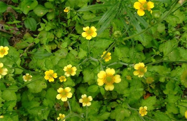 ؈צôNֲҪעʲô