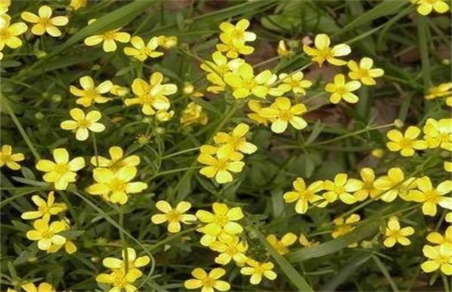 ؈צôNֲҪעʲô