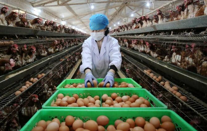 P(gun)ڵuB(yng)ֳĎׂ(g)֪R