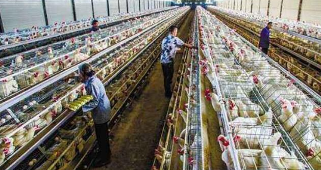 P(gun)ڵuB(yng)ֳĎׂ(g)֪R