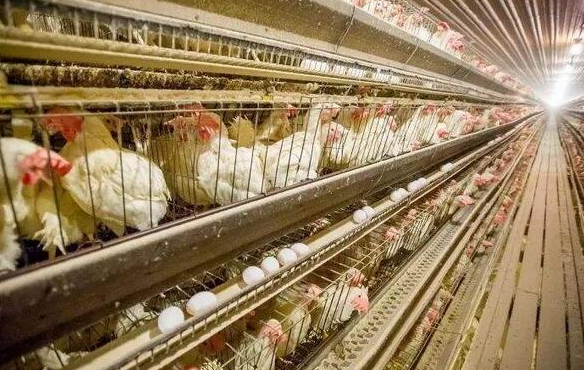 P(gun)ڵuB(yng)ֳĎׂ(g)֪R