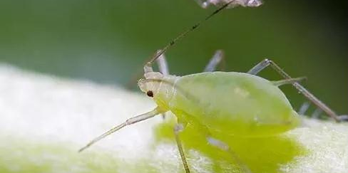 x(chng)ʲôx(chng)Чã