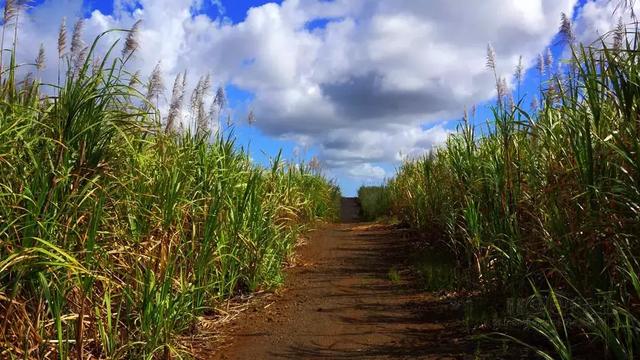 l(xing)˥һҪԭl(xing)ȱa(chn)I(y)֧