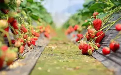 l(xing)˥һҪԭl(xing)ȱa(chn)I(y)֧