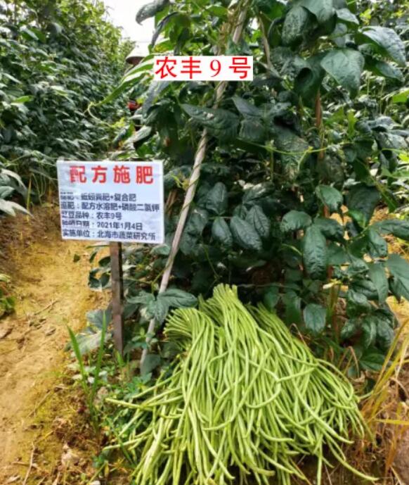 Nֲ紺a(chn)Чf(wn)ԪЧ༼g(sh)4(g)(yu)(sh)ƷN