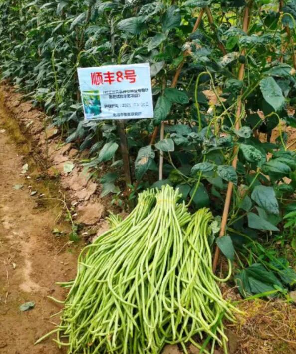 Nֲ紺a(chn)Чf(wn)ԪЧ༼g(sh)4(g)(yu)(sh)ƷN