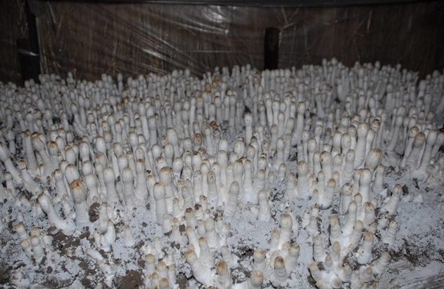 uȹضʲôҪҪעʲô