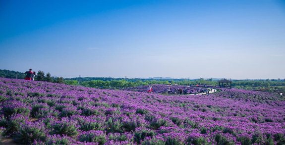 (gu)Щe^(chng)e(chng)İl(f)չǰӣ