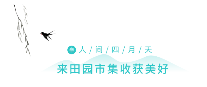 1631590163976492.png image.png