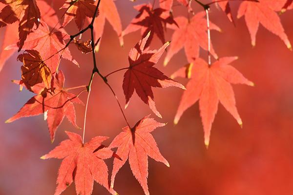 ؑcpt~ ߅<a style=color:#FF0000 href=http://www.pcluntan.com/art-10-3-yw.html?dq=>rҘ</a>]