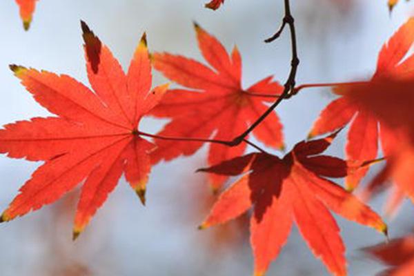 ؑcpt~ ߅<a style=color:#FF0000 href=http://www.pcluntan.com/art-10-3-yw.html?dq=>rҘ</a>]