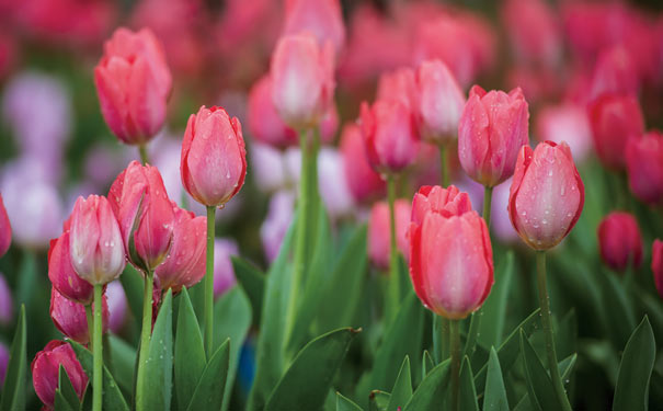 ؑc߅δp̤]<a style=color:#FF0000 href=http://www.pcluntan.com/show-10-3-950-yw.html>Lۺ</a>