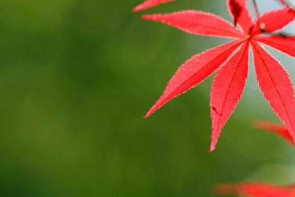 ؑcpt~ ߅<a style=color:#FF0000 href=http://www.pcluntan.com/art-10-3-yw.html?dq=>r(nng)Ҙ</a>]