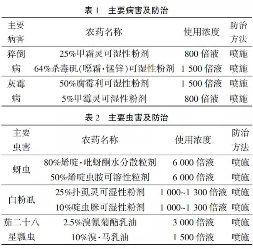 ӸЧ༼g,һN,3.25fԪ