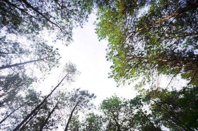 ɽ<a style=color:#FF0000 href=http://www.pcluntan.com/art-10-43-yw.html></a>ѹϴfסɽGˮ