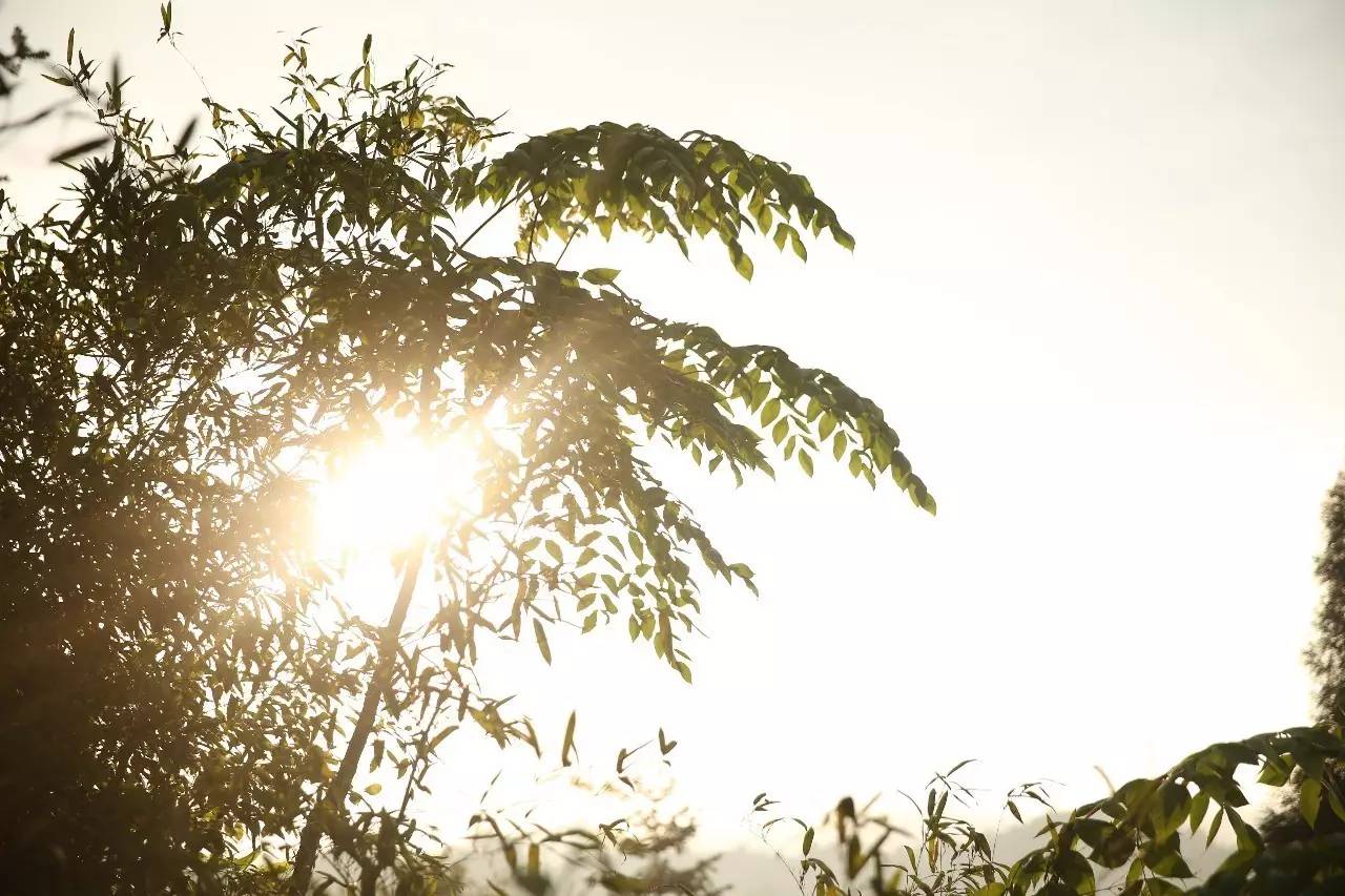 ɽ<a style=color:#FF0000 href=http://www.pcluntan.com/art-10-43-yw.html></a>ѹϴfסɽGˮ