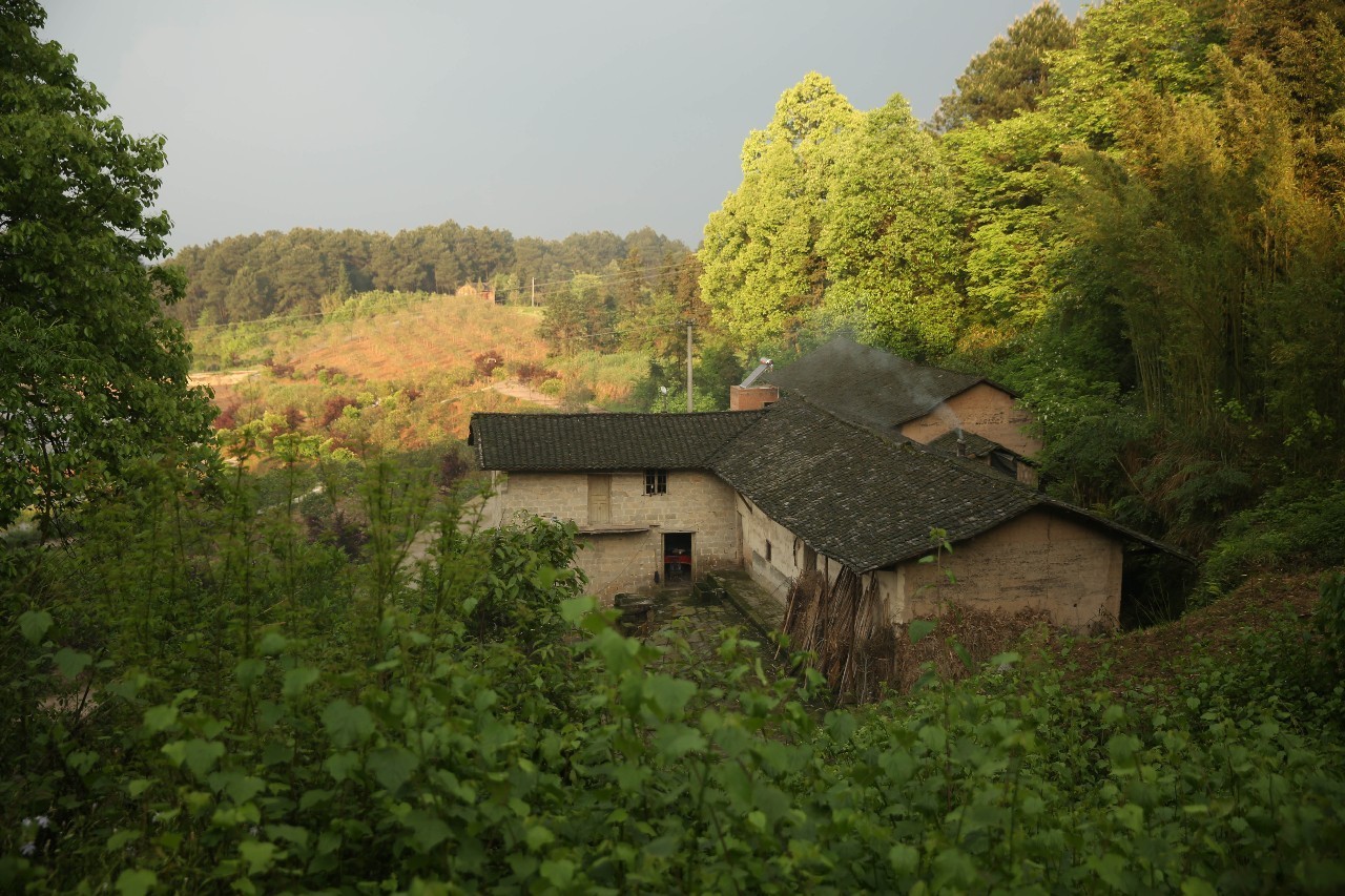 ɽ<a style=color:#FF0000 href=http://www.pcluntan.com/art-10-43-yw.html></a>ѹϴfסɽGˮ