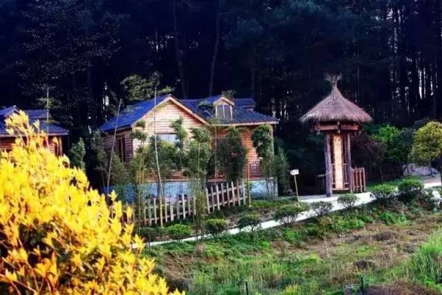 ɽ<a style=color:#FF0000 href=http://www.pcluntan.com/art-10-43-yw.html></a>ѹϴfסɽGˮ