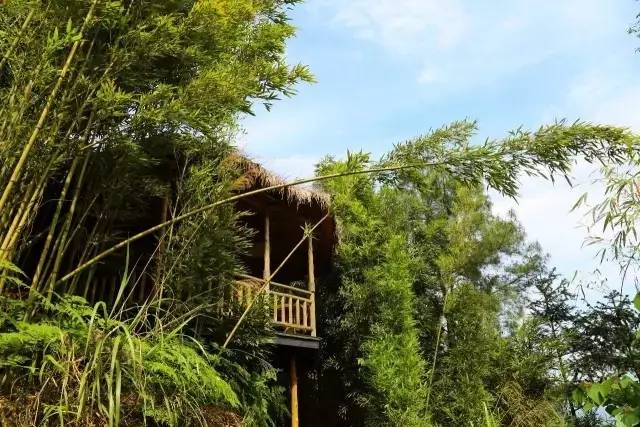 ɽ<a style=color:#FF0000 href=http://www.pcluntan.com/art-10-43-yw.html></a>ѹϴfסɽGˮ