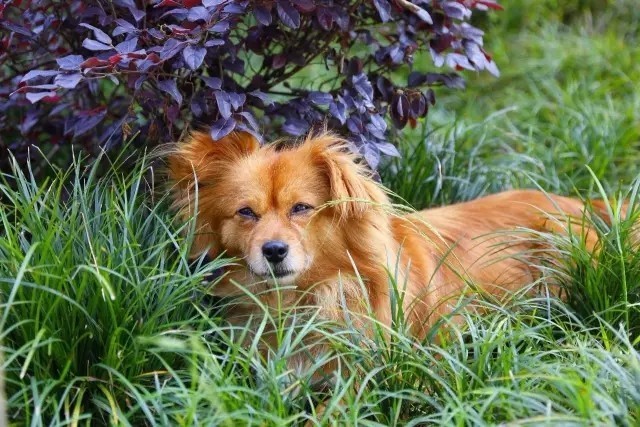 ɽ<a style=color:#FF0000 href=http://www.pcluntan.com/art-10-43-yw.html></a>ѹϴfסɽGˮ