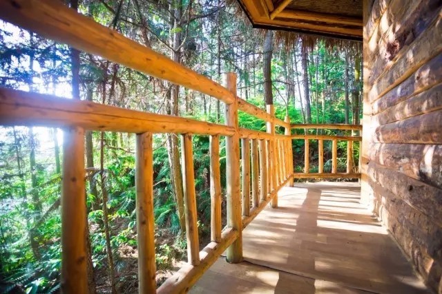 ɽ<a style=color:#FF0000 href=http://www.pcluntan.com/art-10-43-yw.html></a>ѹϴfסɽGˮ