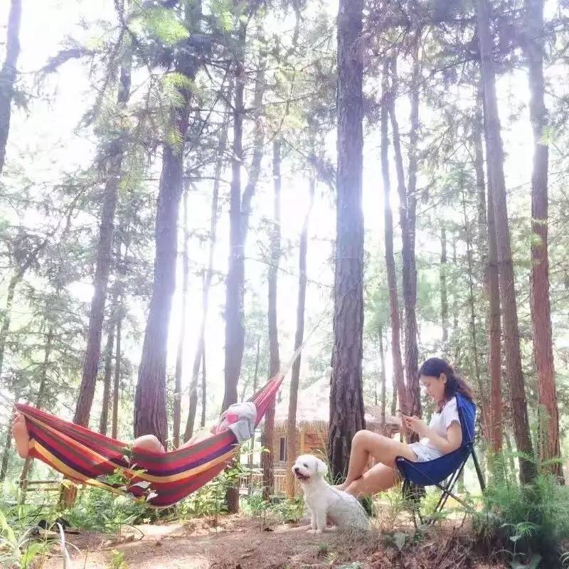 ɽ<a style=color:#FF0000 href=http://www.pcluntan.com/art-10-43-yw.html></a>ѹϴfסɽGˮ