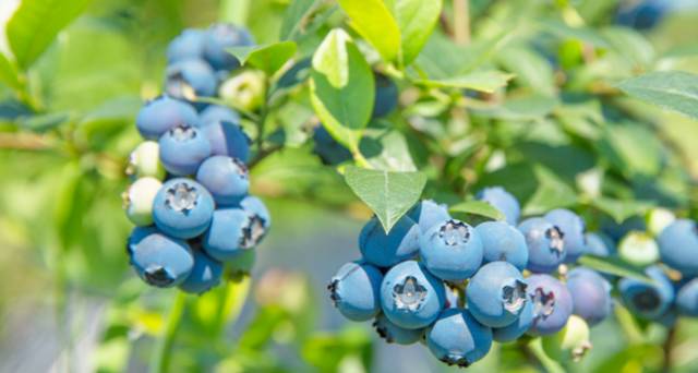 ɽ<a style=color:#FF0000 href=http://www.pcluntan.com/art-10-43-yw.html></a>ѹϴfסɽGˮ