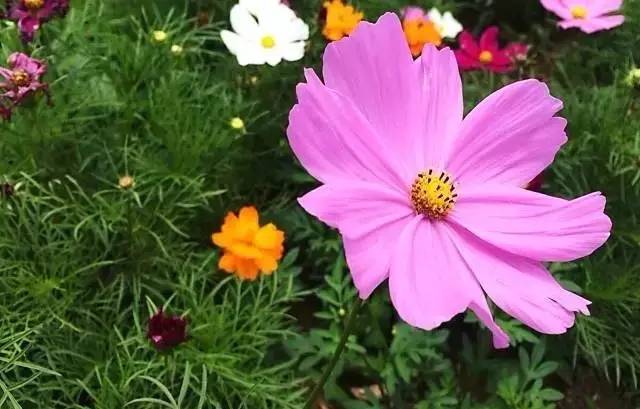 ɽ<a style=color:#FF0000 href=http://www.pcluntan.com/art-10-43-yw.html></a>ѹϴfסɽGˮ