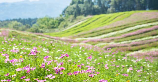 ɽ<a style=color:#FF0000 href=http://www.pcluntan.com/art-10-43-yw.html></a>ѹϴfסɽGˮ