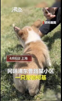 ϺһС^(q)ﹷ䚢 ίؑ(yng)