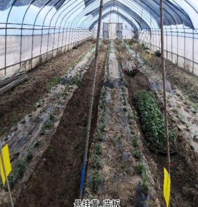 @ӷNֲʡʡr߀13.9%(wn)ٍ