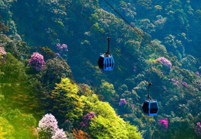 ߿Y(ji)ȥăؑcξc(din)Ƴ(yu)ݣղ